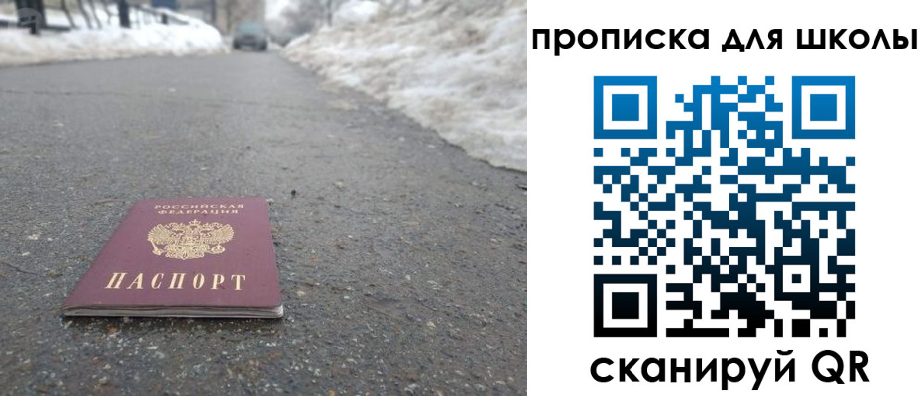 прописка для школы в Железногорске